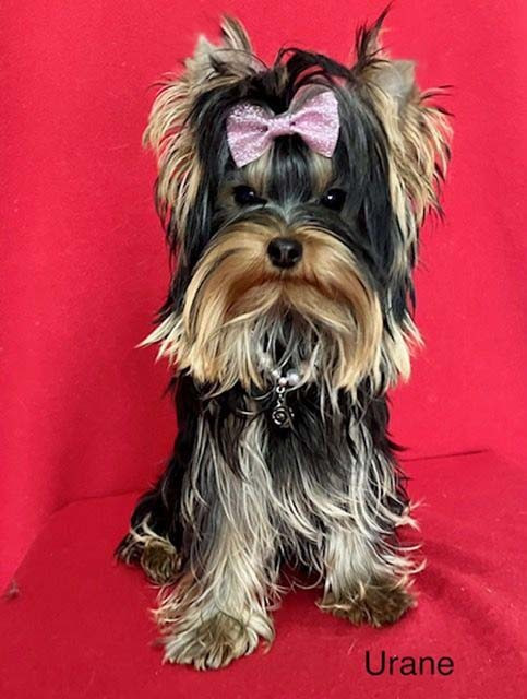 Urane way du domaine des chenes garance