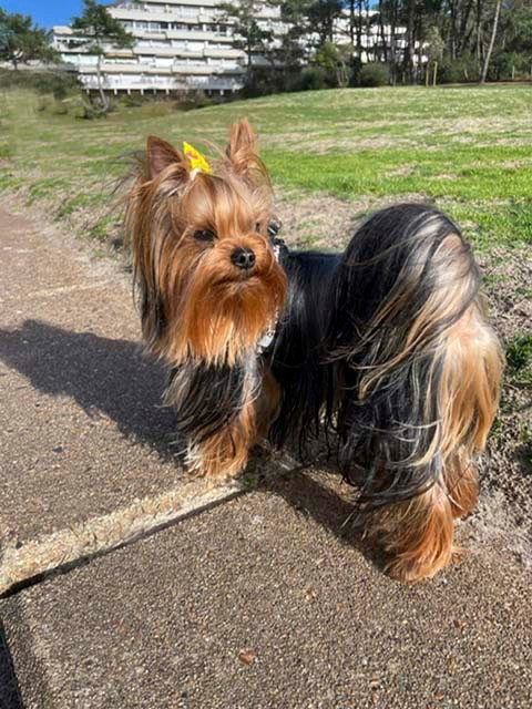 Vadim a été confirmé. Félicitations à ce petit bonhomme malicieux.